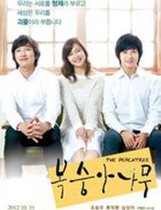 Персиковое дерево