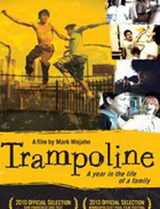 Trampoline
