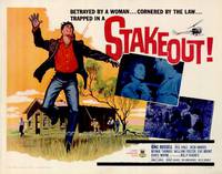 Постер Слежка