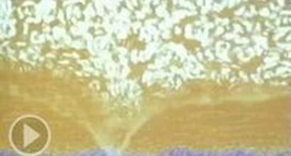 Мультфильм 