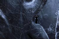 Кадр Не бойся темноты