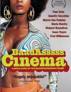 Хулиганский кинематограф