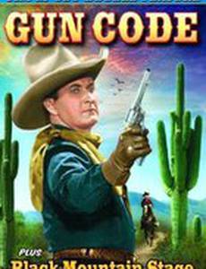 Gun Code