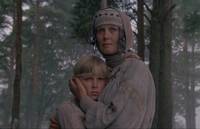 Кадр И на камнях растут деревья