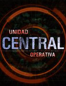 Центральная оперативная группа