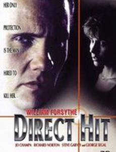 Прямое попадание (видео)