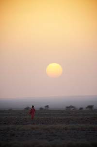 Кадр Цветок пустыни