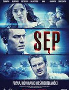 Стервятник