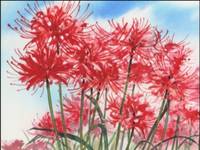 Кадр Дневник поездки в Иокогаму за покупками (видео)