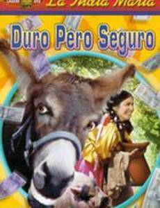 Duro pero seguro