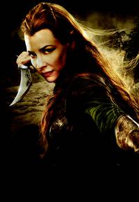 Постер Хоббит: Пустошь Смауга