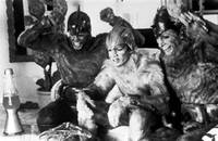 Кадр Земные девушки легко доступны