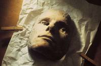 Кадр Солнце в листве айвового дерева