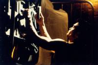 Кадр Убежище