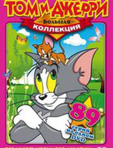 За что наказали кота