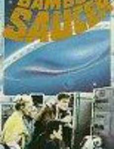 Бамбуковая летающая тарелка