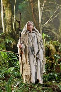 Кадр Мерлин