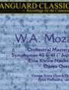 Белая власть