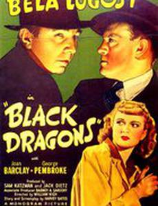 Черные драконы