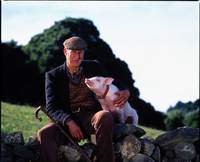 Кадр Бэйб: Четвероногий малыш