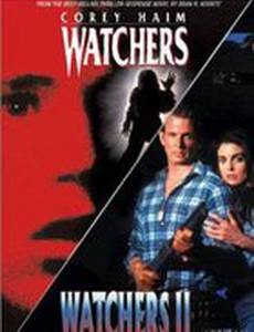 Наблюдатели 2