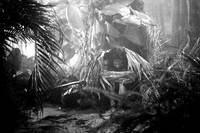 Кадр Независимость