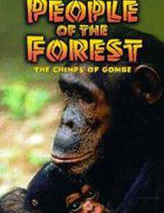 People of the Forest: The Chimps of Gombe