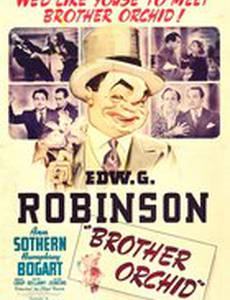 Брат «Орхидея»