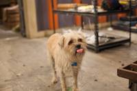 Кадр Дети шпионов 4: Армагеддон