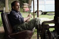 Кадр Красные муравьи