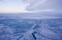 Кадр Мишка на севере