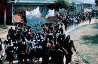 Кадр Сухой белый сезон