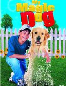 Пес-призрак