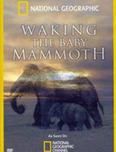 Мамонтёнок: Застывший во времени