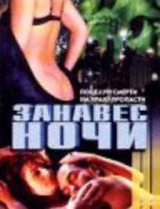 Занавес ночи