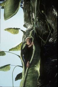 Кадр Джек и Бобовое дерево: Правдивая история