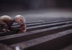 В Запорожье пройдет международный кинофестиваль