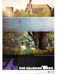 Дерево науки