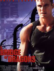 Битва драконов