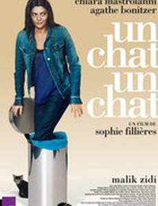 Кошки-мышки