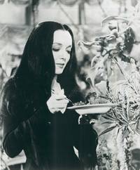 Кадр Семейка Аддамс