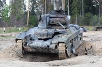 Кадр Белый тигр