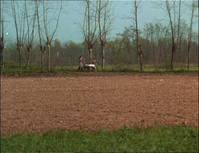 Кадр Дерево для башмаков