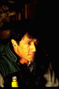 Кадр Дневной свет