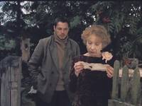 Кадр Год Собаки