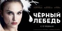 Постер Чёрный лебедь