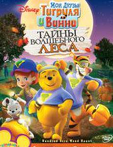 Мои друзья Тигруля и Винни: Тайны волшебного леса (видео)