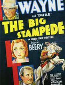 Большая паника