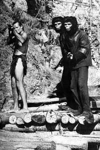 Кадр Планета обезьян