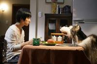 Кадр Наш город